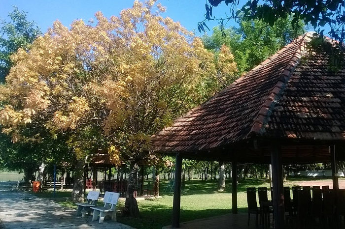 Khu du lịch sinh thái Bản Đôn – Đắk Lắk Khu du lịch sinh thái Bản Đôn – Đắk Lắk